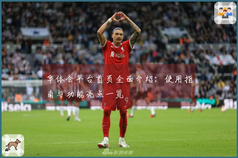 华体会平台首页全面介绍：使用指南与功能亮点一览